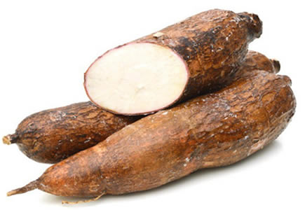 manioc